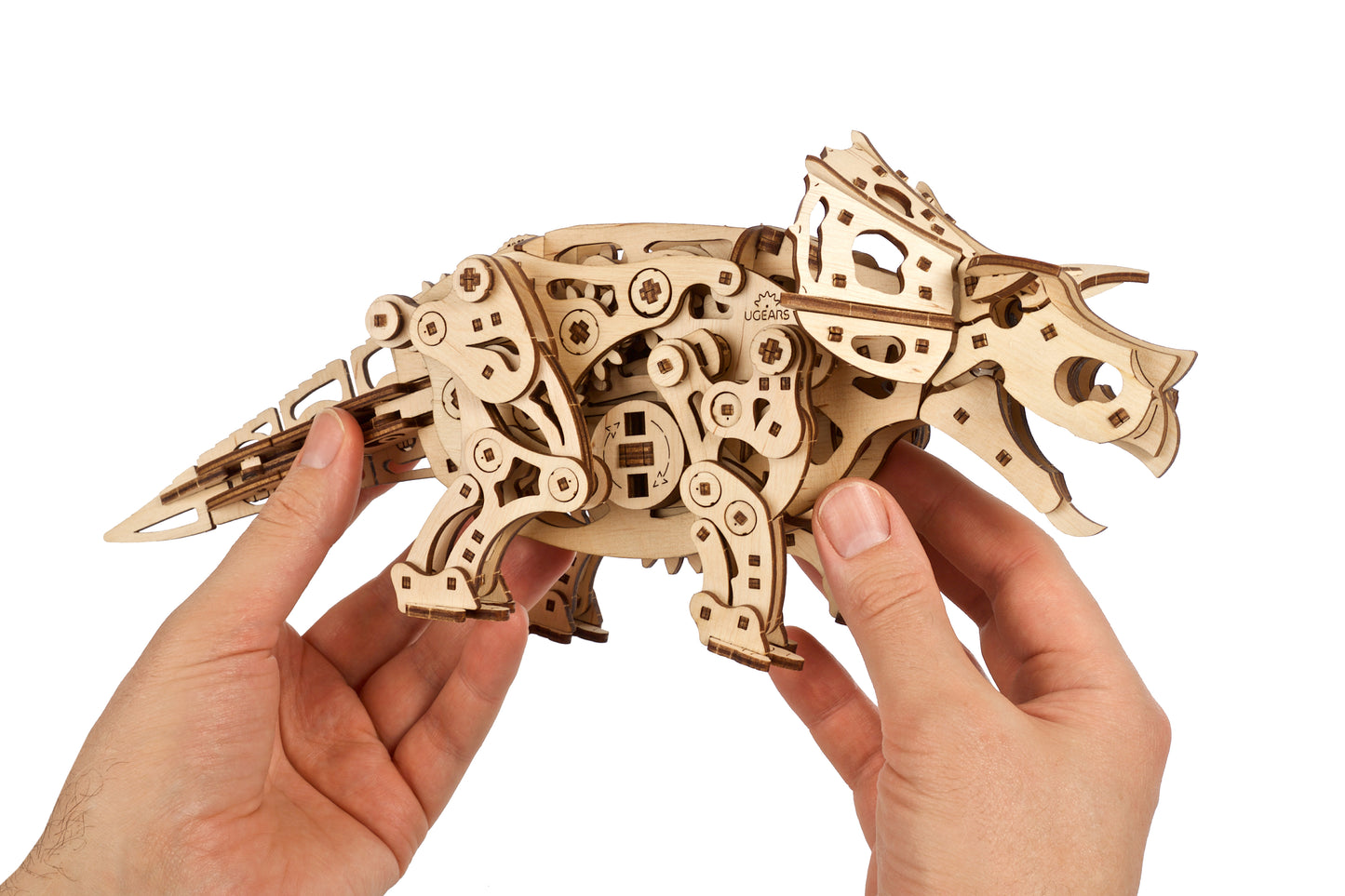 Triceratops