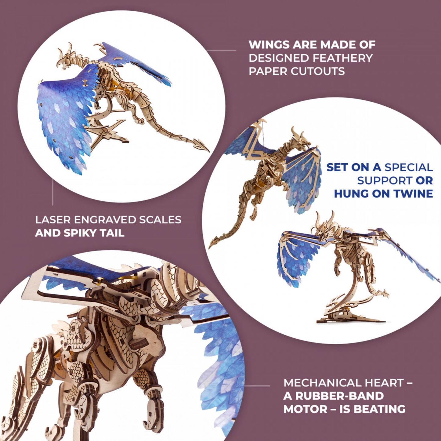 Windstorm Dragon