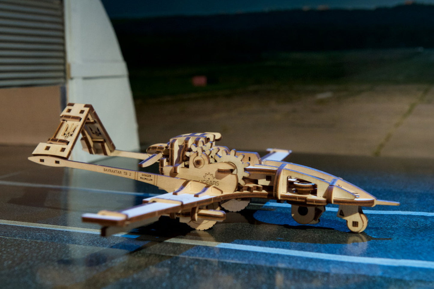 Bayraktar TB2 Combat Drone